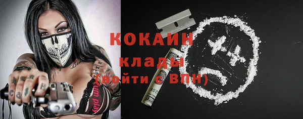 2c-b Пестово