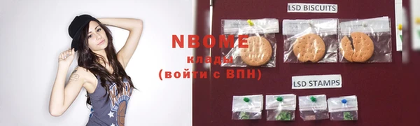 2c-b Пестово