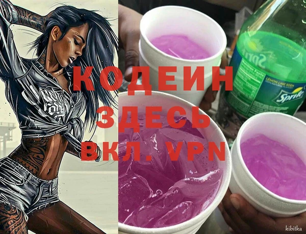 2c-b Пестово