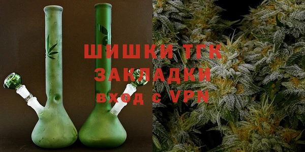 2c-b Пестово