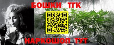 стаф Лесосибирск
