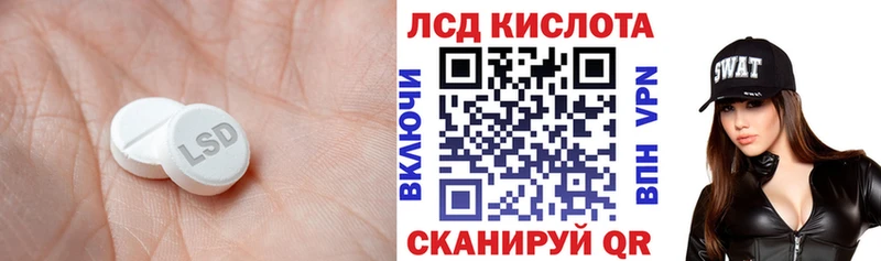 kraken зеркало  Черкесск  Лсд 25 экстази ecstasy 