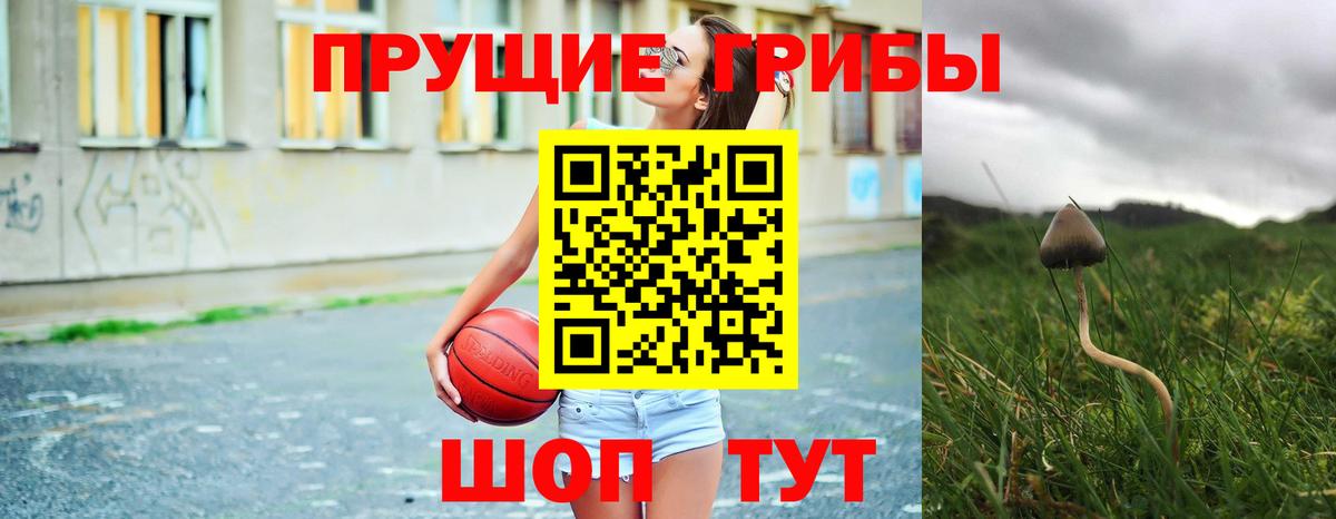 Черкесск  Галлюциногенные грибы прущие грибы  Вход с VPN 
